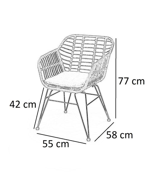 K541 rattan fotel